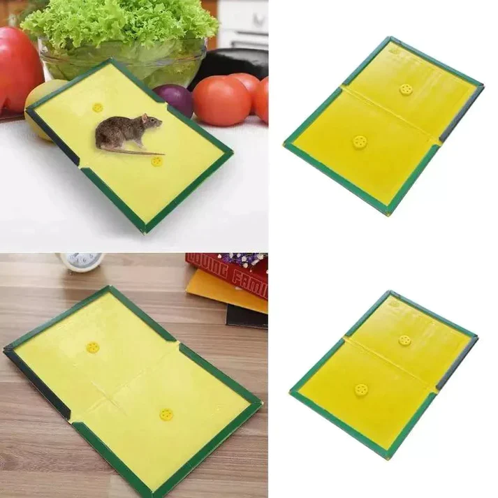 2 Pc Mouse Glue Traps Expert Catch 2 Pc Mouse Glue Traps Expert Catch - Image 1